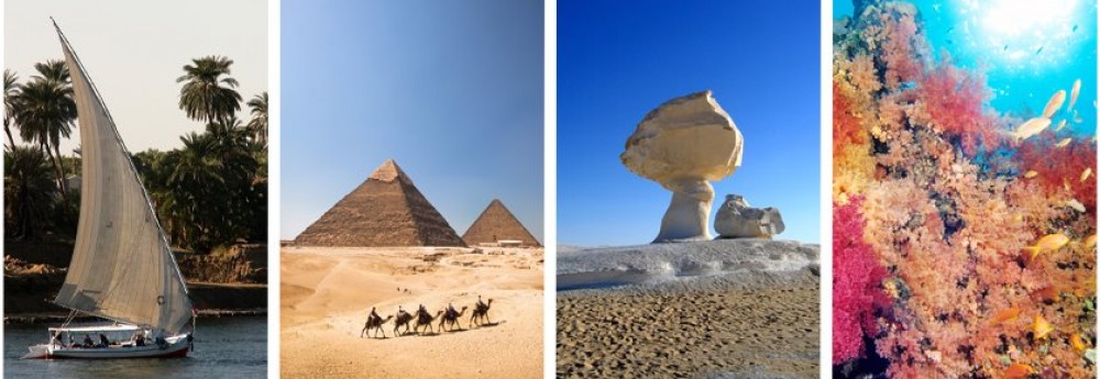 Egypt Tourism Board